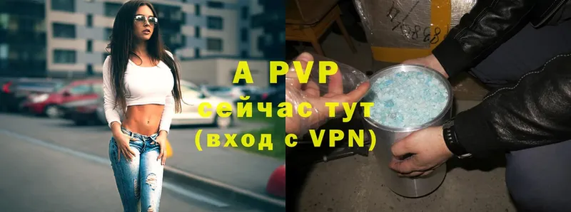 Alfa_PVP СК КРИС  Аргун 